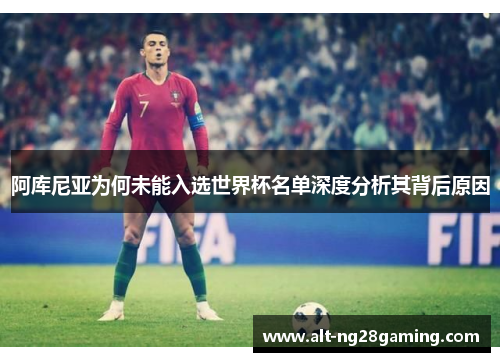 阿库尼亚为何未能入选世界杯名单深度分析其背后原因