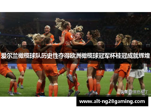 爱尔兰橄榄球队历史性夺得欧洲橄榄球冠军杯桂冠成就辉煌